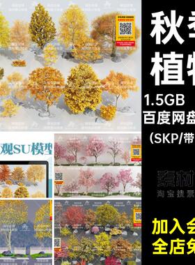 红色植物（SKP庭院景观红枫树10组公园黄色秋季秋天SU园林景观