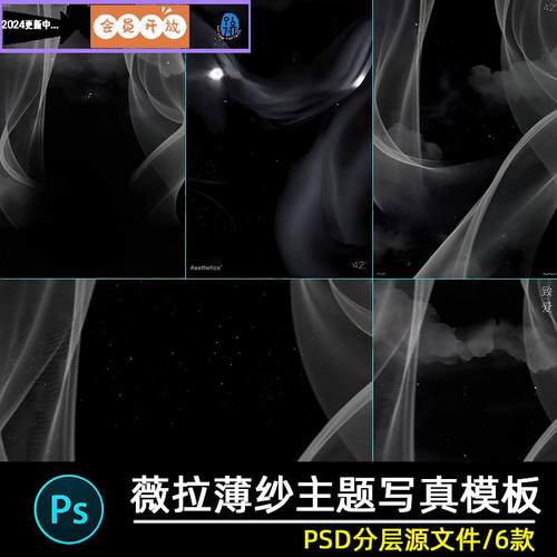 薇拉透明薄纱前景婚纱照写真照片模板影楼后期修图背景psd素材ps