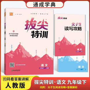 2024春通城学典初中拔尖特训9九年级下册语文人教版RJ初三同步课本教材练习册课时特训一课一练分层递进挑战尖子生题库学案作业本