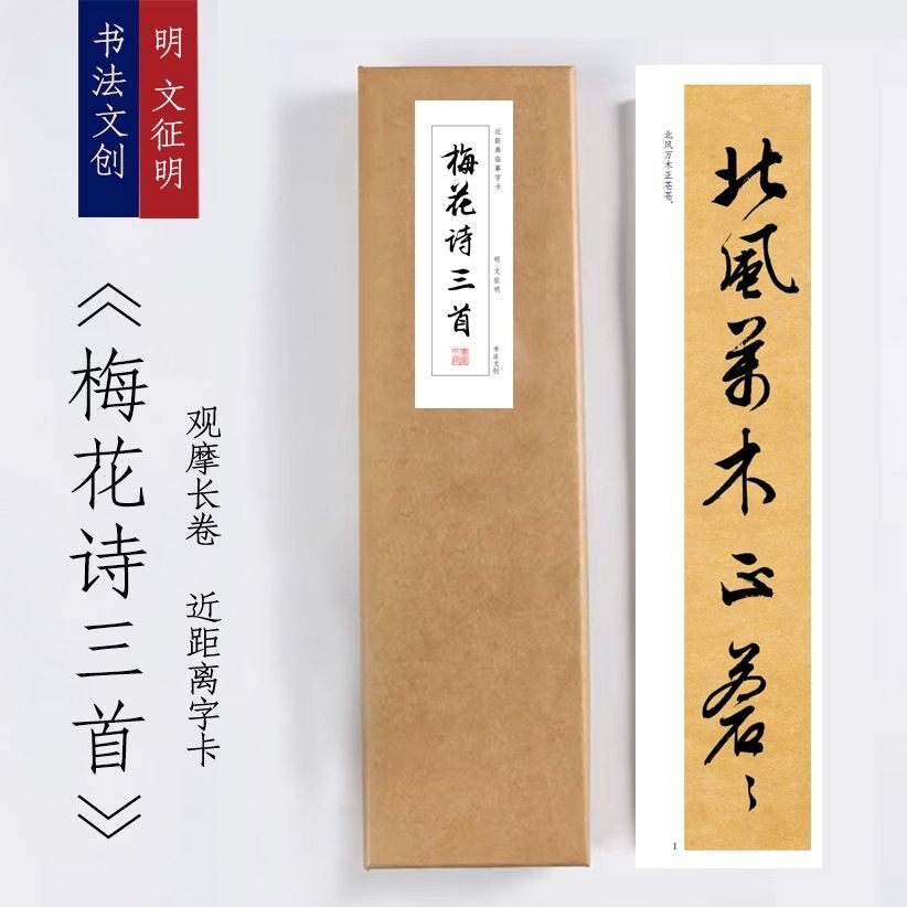文征明梅花诗《梅花诗三首》毛笔书法近距离临摹描红字帖练字卡活