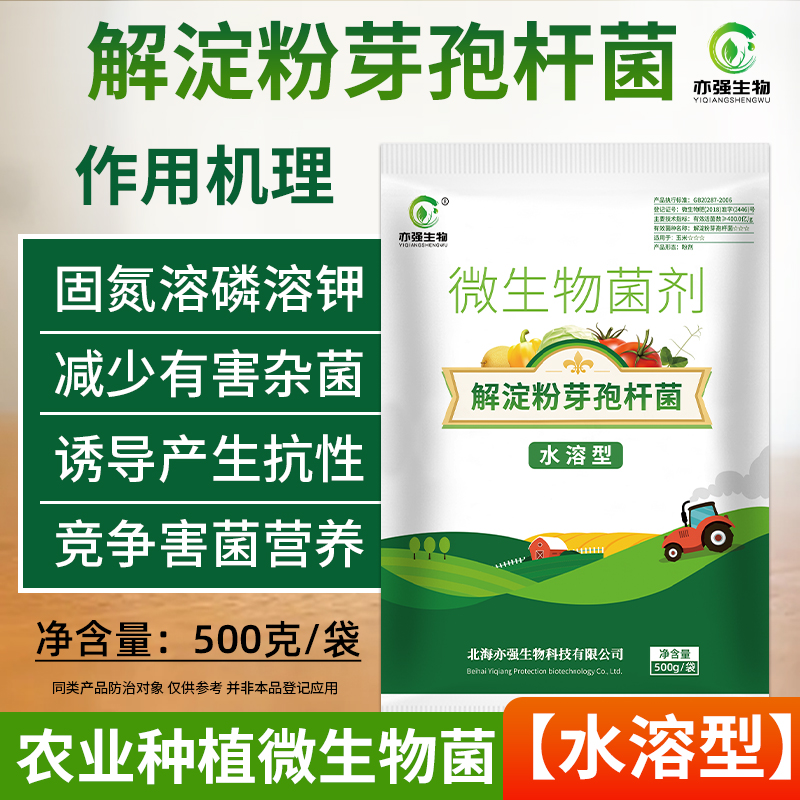 解淀粉芽孢杆菌全水溶微生物菌肥料作物种植菌剂重茬