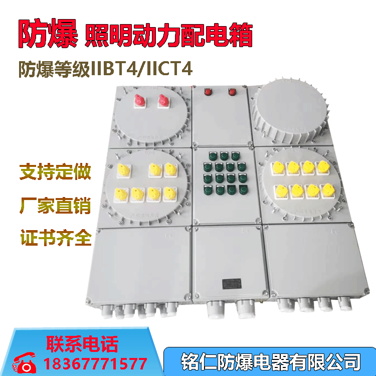 默铭仁防爆配电箱厂家直销IICT4