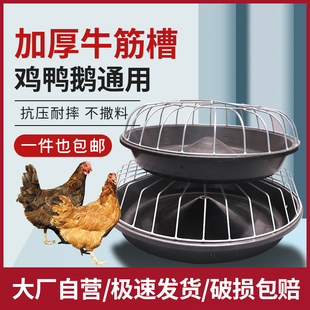 喂鸡食槽鸡鸭鹅仔猪喂料仔猪小猪保育料槽猪场喂猪饲料槽保育食槽