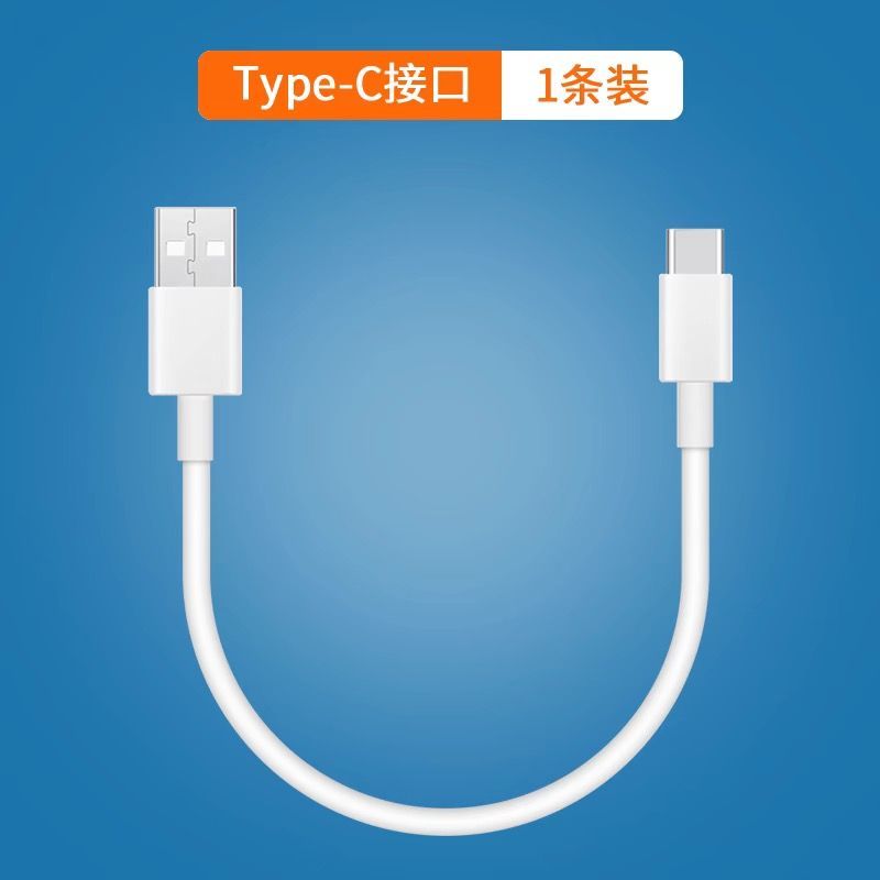 0.25米充电宝短线Type-数据线