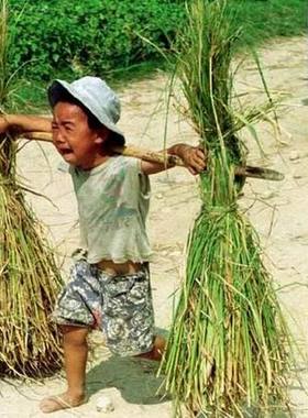 经典图片素材资源滑稽爆笑娱乐感人搞笑幽默JPEG图片收藏GIF图片