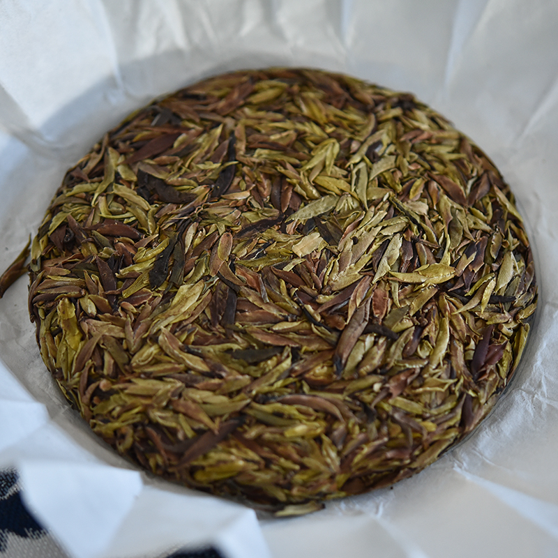 荒山野林云南野生古树芽苞白茶饼