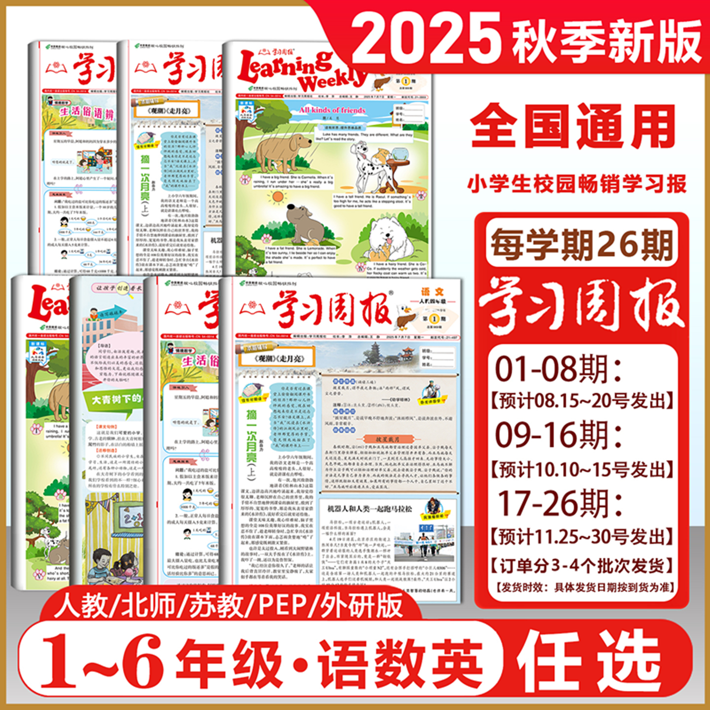 2025新 学习周报 语文数学英语 小学一二三四五六年级小学123456年级阅读知识拓展同步教材一周一练基础知识训练课外阅读期刊报纸