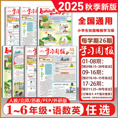 2025新学习周报语文数学英语
