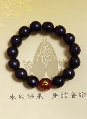 红玛瑙无患子男女手串手链
