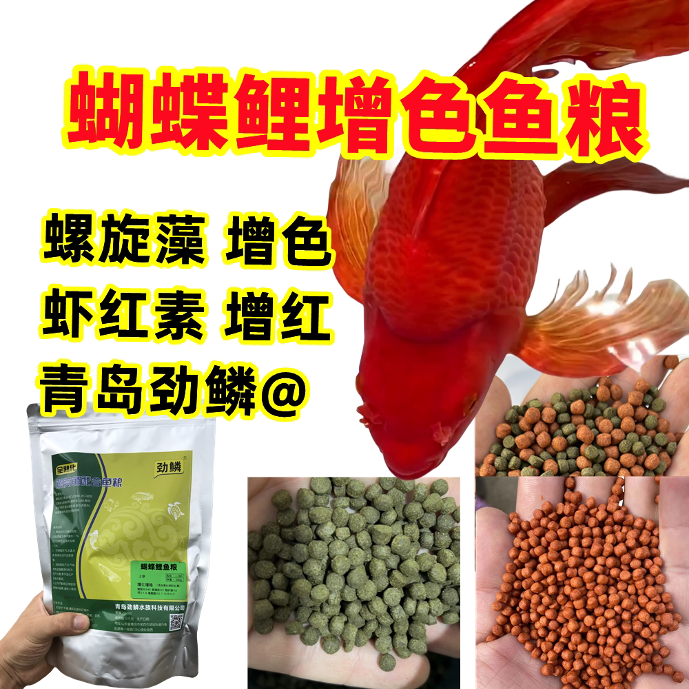 红色高蛋白蝴蝶鲤增色鱼粮