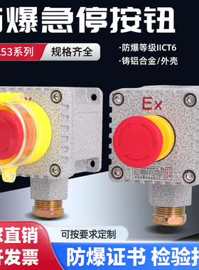 防爆控制按钮 急停自锁开关盒两档三档旋钮转换开关 IICT6铸铝箱