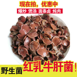 红乳牛肝菌 野生红松蘑干货 红松蘑菇粘窝子黏蛾子食用菌干货包邮