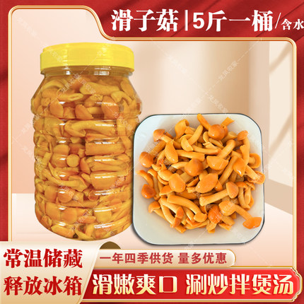 5斤桶装滑子菇滑菇滑子蘑含水罐装食用菌滑嫩脆涮炒拌煲汤均可