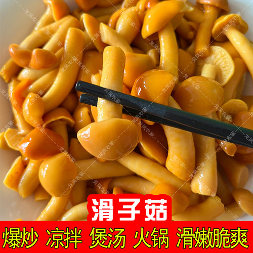 滑子菇新鲜口感涮炒拌均可