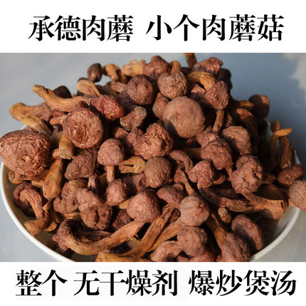 肉蘑丁承德红蘑丁干货松树伞松蘑菇鸡血红蘑小蘑菇头半斤爆炒煲汤