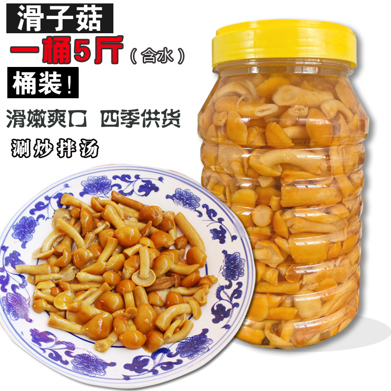 5斤桶装滑子菇涮炒拌煲汤