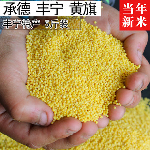 丰宁小米 承德丰宁黄旗小米 农家小米 食用黄小米新小米5斤装包邮