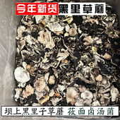 黑里子蘑菇野生黑草蘑坝上特产莜面面条卤料野生菌干货无干燥剂