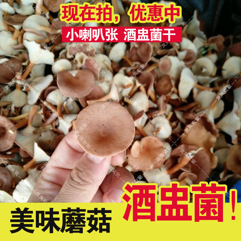 小喇叭蘑 酒盅蘑 小喇叭张蘑菇 深凹杯伞食用蘑菇干货半斤/一斤