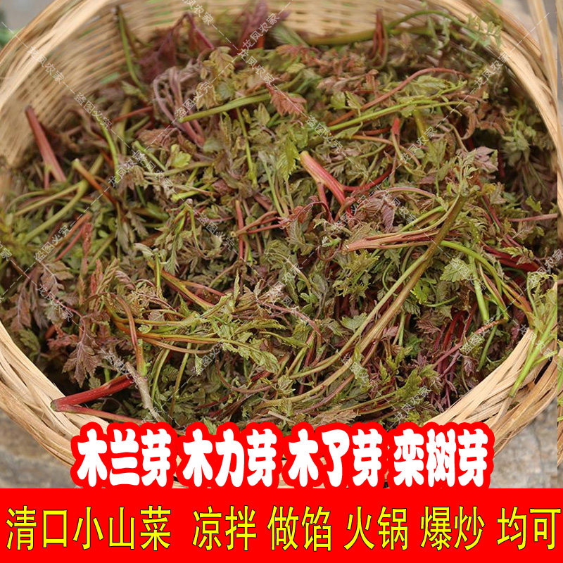 2斤木兰芽木力芽新鲜口感山野菜木嫩芽木了芽栾树含水袋装凉拌做