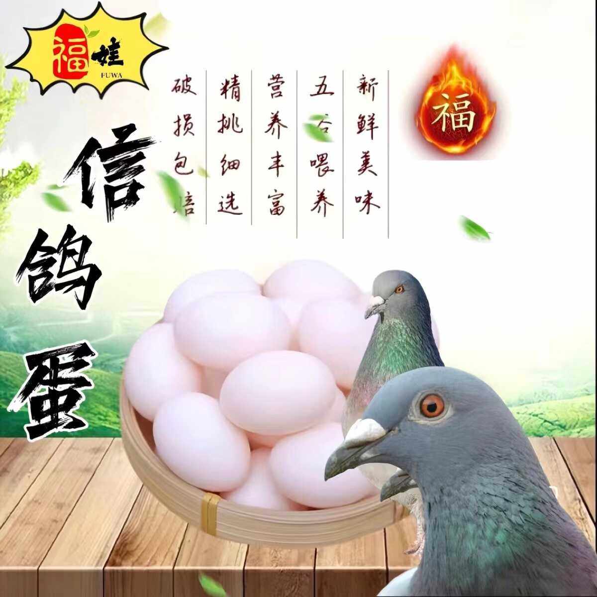 福娃信鸽蛋散飞杂粮喂养农场飞翔信鸽蛋现捡现发破损包赔30枚60枚,水产肉类/新鲜蔬果/熟食,鸽蛋,淘宝优惠券,粉丝福利购,淘宝优惠卷