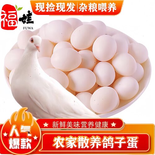 福娃新鲜鸽子农家杂粮散养