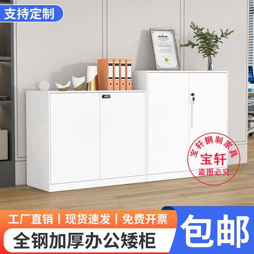 冷轧钢带锁防盗办公文件柜