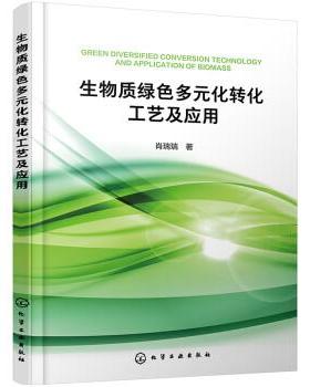 【48小时内发货】  XK生物质绿色多元化转化工艺级应用 肖瑞瑞 化学工业出版社 9787122420268