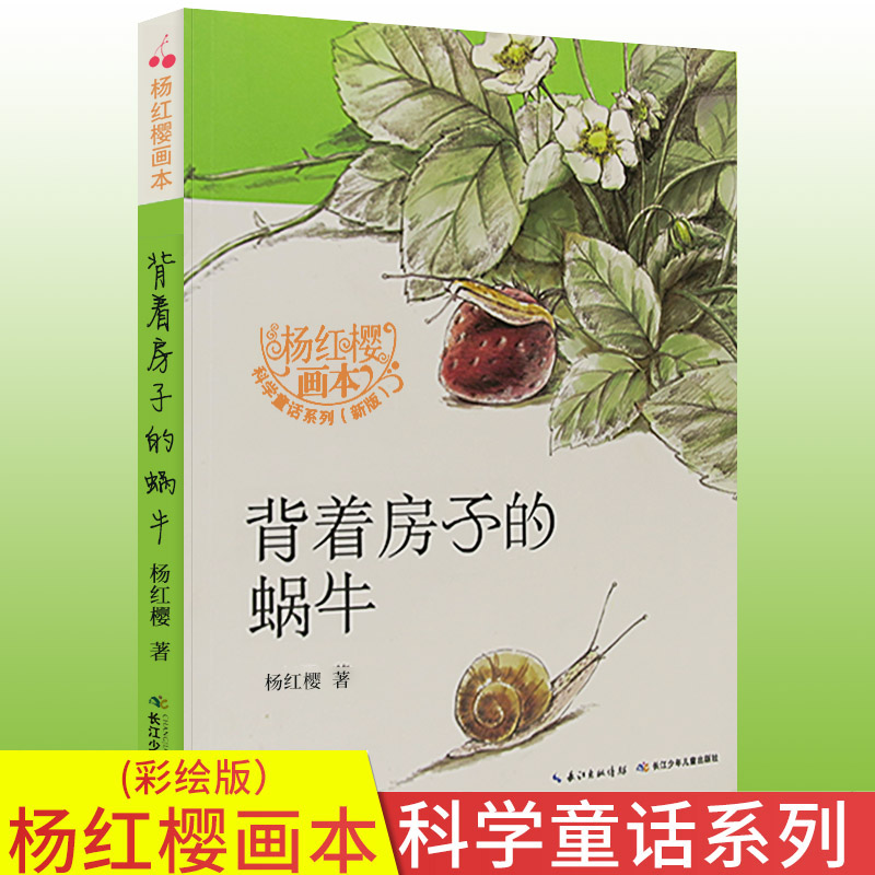 大开本精美绘画