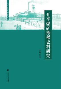 王天根 历史 安徽大学出版 开煤矿史料研究 9787566414328 社