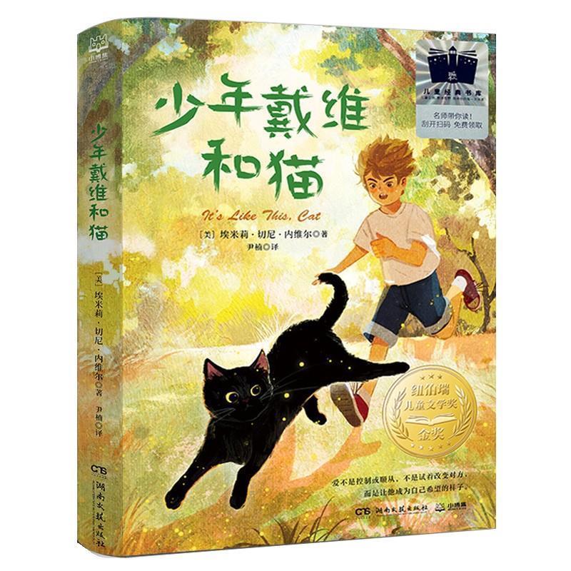 【24小时左右发货】  国际儿童文学经典国际大奖系列：少年戴维和猫 [美]埃米莉·切尼·内维尔 著,尹楠 译 湖南文艺出版社