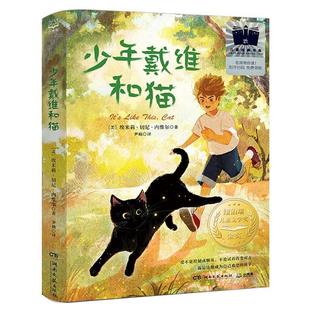著 社 国际儿童文学经典 湖南文艺出版 译 尹楠 埃米莉·切尼·内维尔 美 国际大奖系列：少年戴维和猫 24小时左右发货