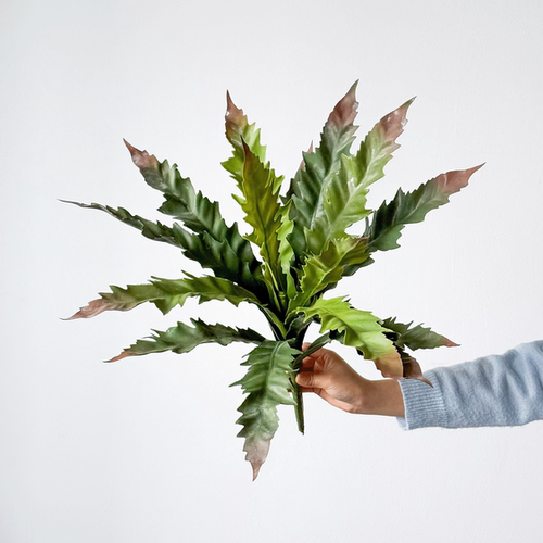 北欧风鸟巢蕨仿真绿植蕨类装饰