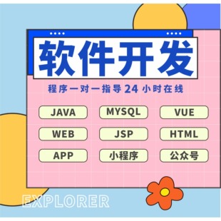 java代码编写python代做计算机软件开发定制微信小程序设计C#项目
