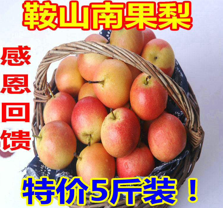 正宗南果梨东北鞍山特产南国梨南水小香水梨酸梨新鲜水果5斤包邮