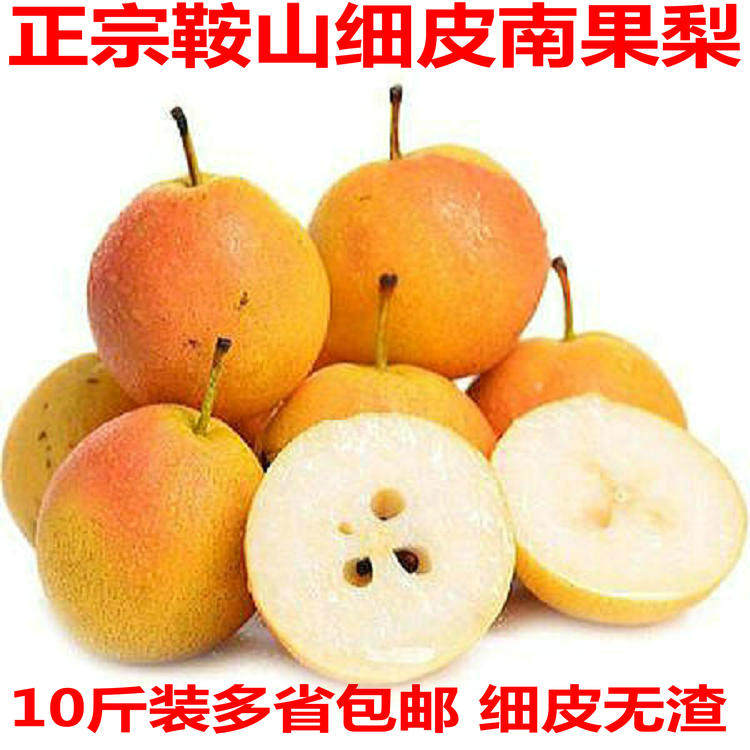 鞍山南果梨酸梨10斤包邮正宗南国梨东北特产梨新鲜水果酒香醉梨