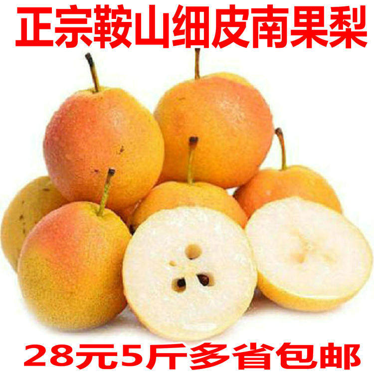 正宗鞍山南果梨东北特产海城南国梨 酒香梨可做冻梨 5斤装包邮