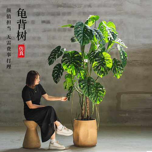 高端仿真绿植大型龟背树盆景巨型假植物装饰龟背竹落地橱窗景观
