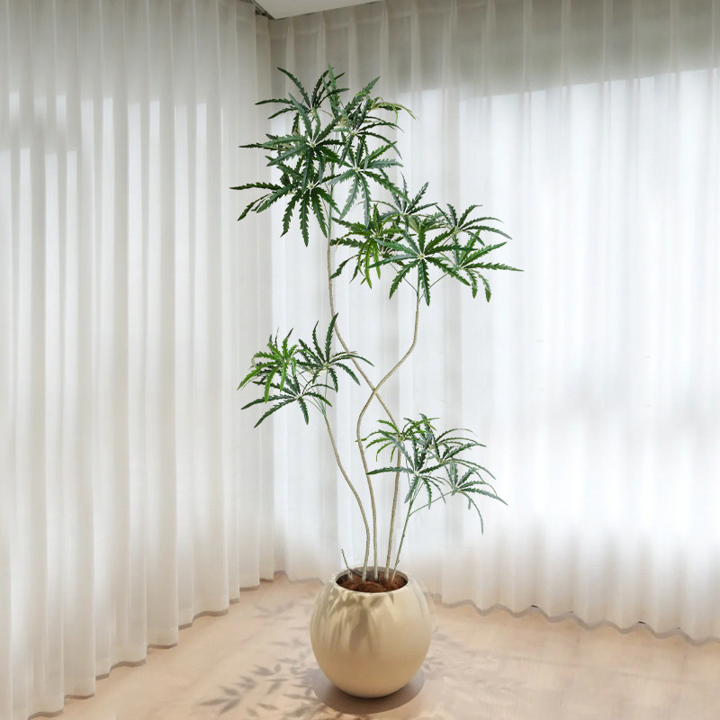 侘寂风仿真绿植盆栽孔雀木室内客厅落地植物装饰沙发旁电视柜摆件