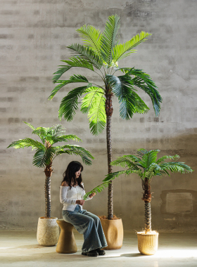仿真绿植假植物室内客厅刺葵针葵