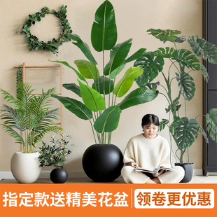 仿真绿植天堂鸟高端轻奢室内客厅装饰龟背树橱窗造景装饰植物假树