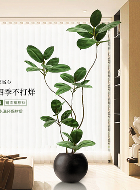 仿真绿植黑金刚橡皮树高端轻奢客厅摆件大型落地侘寂风仿生假植物