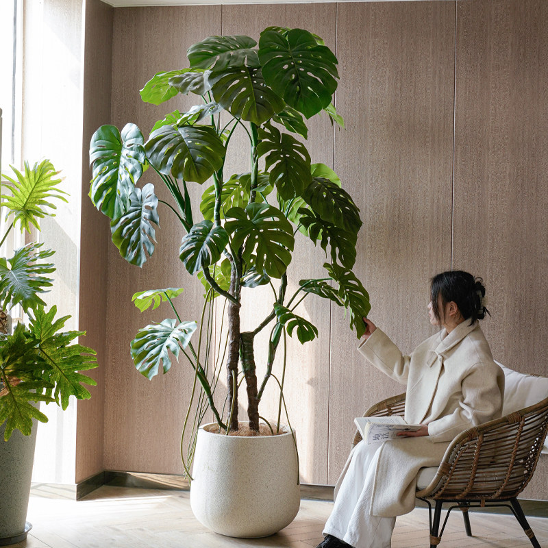 仿真绿植龟背竹客厅办公室仿生室内植物盆栽摆件落地装饰假龟背树图片