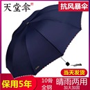 天堂伞大号超大雨伞男女三人晴雨两用折叠学生双人黑胶防晒遮阳伞