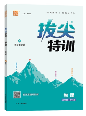 拔尖特训九年级全一册物理沪科版