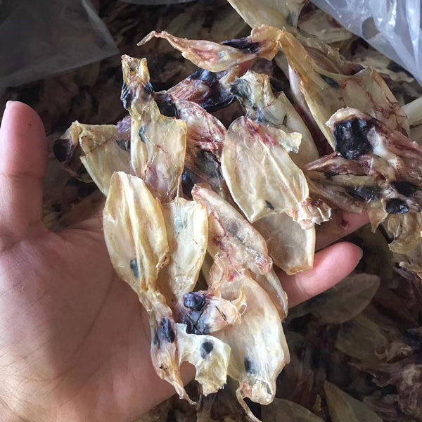 福建特产小鱿鱼好吃福建