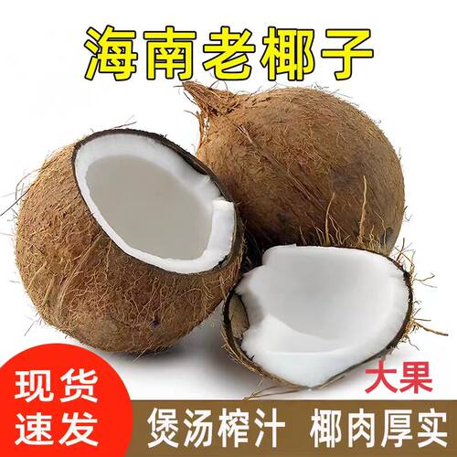 海南文昌特产大老椰子椰皇椰白新鲜肉厚煲汤榨汁毛椰子鸡孕妇水果