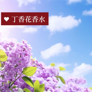 【萄柒】紫丁香花香水清新花香持久淡雅学生女生香调高级除味香氛