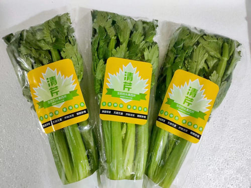 新鲜清芹  可以生吃  京津冀任意6件包邮