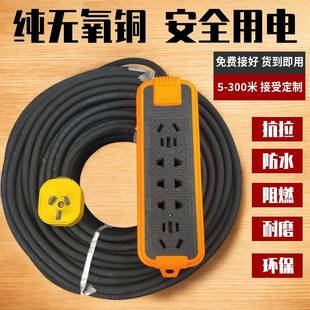 纯铜芯电线软线带插头1.52.5 4平方家用电缆线2芯户外防冻电源线